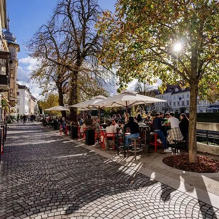 Apartman Little M's Kept Secret App