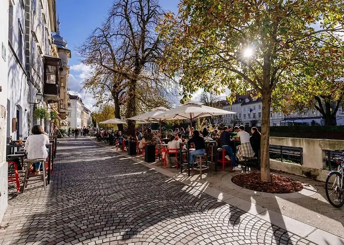 Apartment Little M's Kept Secret App